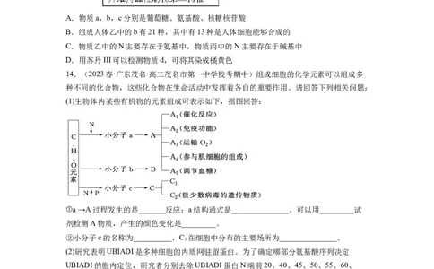 第4讲细胞中的蛋白质和核酸（练习）（原卷版）_新高考复习资料_2024年新高考复习资料_一轮复习资料_完2024年高考生物一轮复习讲练测(课件+讲义+练习)（新高考）_讲义+练习