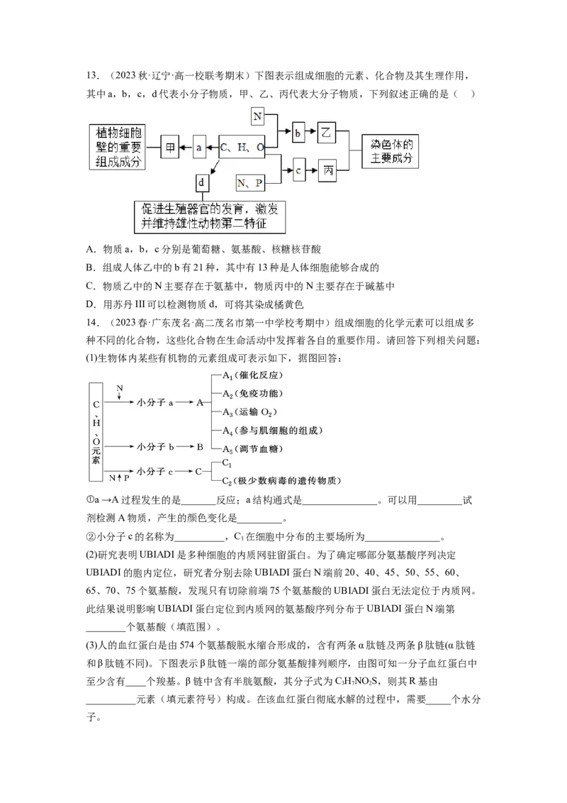第4讲细胞中的蛋白质和核酸（练习）（原卷版）_新高考复习资料_2024年新高考复习资料_一轮复习资料_完2024年高考生物一轮复习讲练测(课件+讲义+练习)（新高考）_讲义+练习