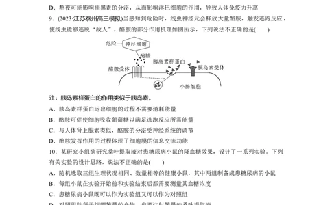 第8单元　课时练5　激素与内分泌系统、激素调节的过程_新高考复习资料_2024年新高考复习资料_一轮复习资料_完2024生物步步高大一轮复习（课件+讲义）_学生版在此文件夹
