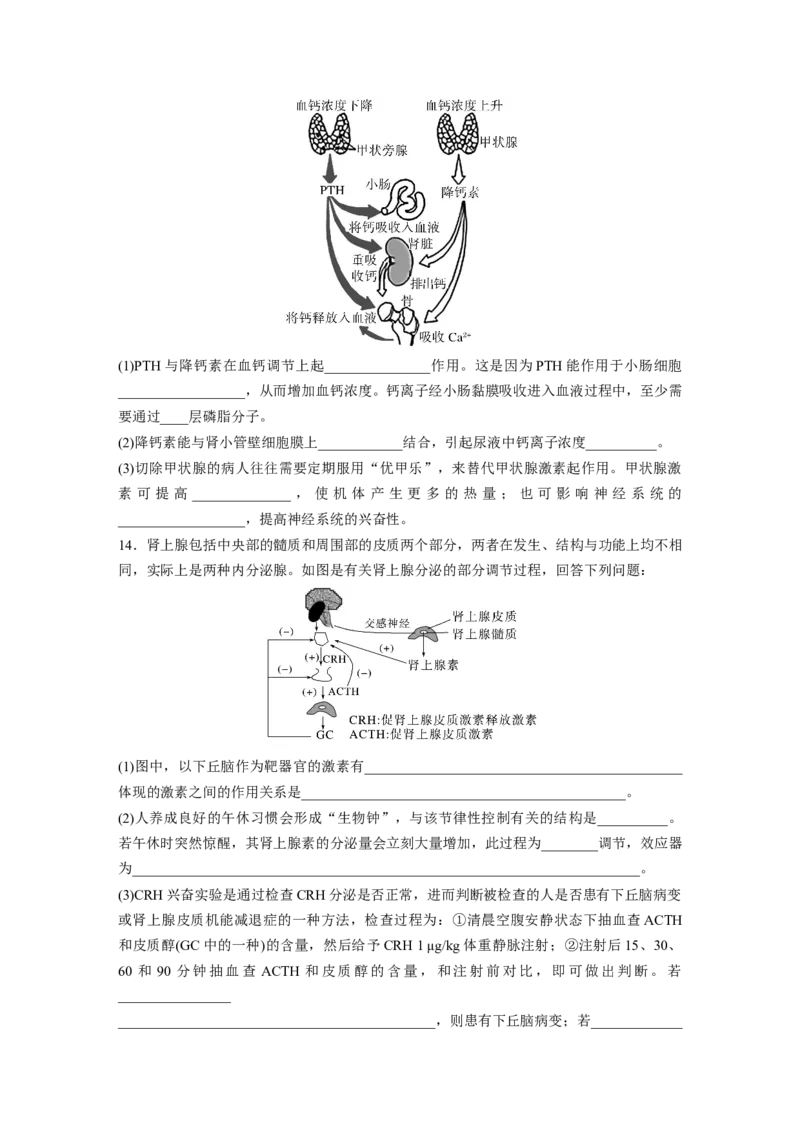 第8单元　课时练5　激素与内分泌系统、激素调节的过程_新高考复习资料_2024年新高考复习资料_一轮复习资料_完2024生物步步高大一轮复习（课件+讲义）_学生版在此文件夹