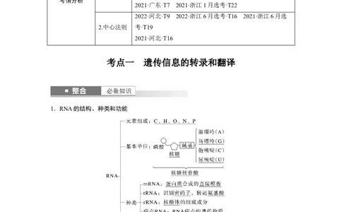 第六单元　第31课时　基因的表达_2025年新高考资料_一轮复习_2025大一轮复习讲义+课件（完结）_2025大一轮复习讲义生物教师用书Word版文档整书_配套Word版文档第三~六单元