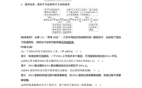 第六单元　第31课时　基因的表达_2025年新高考资料_一轮复习_2025大一轮复习讲义+课件（完结）_2025大一轮复习讲义生物教师用书Word版文档整书_配套Word版文档第三~六单元