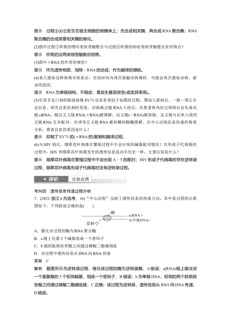 第六单元　第31课时　基因的表达_2025年新高考资料_一轮复习_2025大一轮复习讲义+课件（完结）_2025大一轮复习讲义生物教师用书Word版文档整书_配套Word版文档第三~六单元