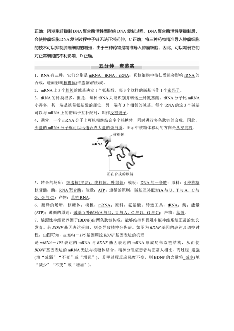第六单元　第31课时　基因的表达_2025年新高考资料_一轮复习_2025大一轮复习讲义+课件（完结）_2025大一轮复习讲义生物教师用书Word版文档整书_配套Word版文档第三~六单元