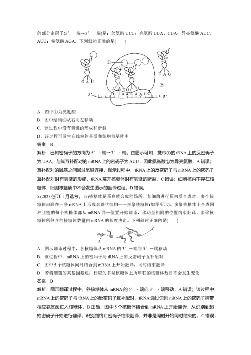 第六单元　第31课时　基因的表达_2025年新高考资料_一轮复习_2025大一轮复习讲义+课件（完结）_2025大一轮复习讲义生物教师用书Word版文档整书_配套Word版文档第三~六单元