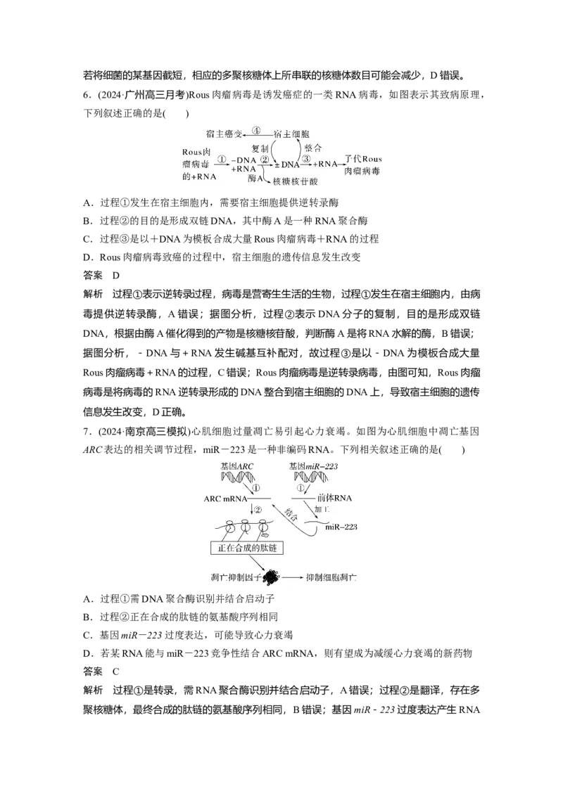 第六单元　第31课时　基因的表达_2025年新高考资料_一轮复习_2025大一轮复习讲义+课件（完结）_2025大一轮复习讲义生物教师用书Word版文档整书_配套Word版文档第三~六单元