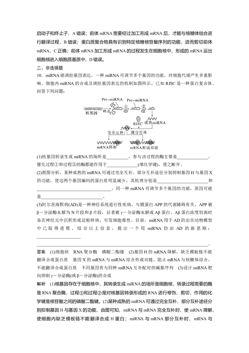第六单元　第31课时　基因的表达_2025年新高考资料_一轮复习_2025大一轮复习讲义+课件（完结）_2025大一轮复习讲义生物教师用书Word版文档整书_配套Word版文档第三~六单元