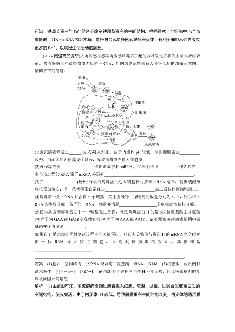 第六单元　第31课时　基因的表达_2025年新高考资料_一轮复习_2025大一轮复习讲义+课件（完结）_2025大一轮复习讲义生物教师用书Word版文档整书_配套Word版文档第三~六单元