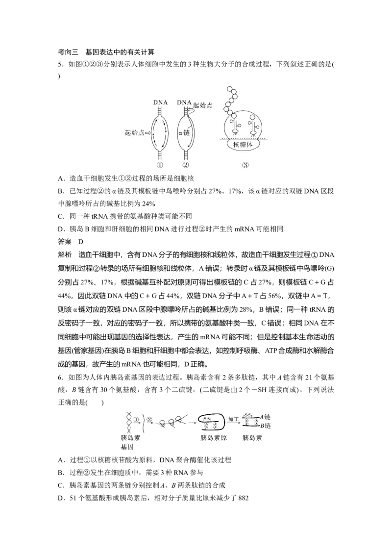 第六单元　第31课时　基因的表达_2025年新高考资料_一轮复习_2025大一轮复习讲义+课件（完结）_2025大一轮复习讲义生物教师用书Word版文档整书_配套Word版文档第三~六单元