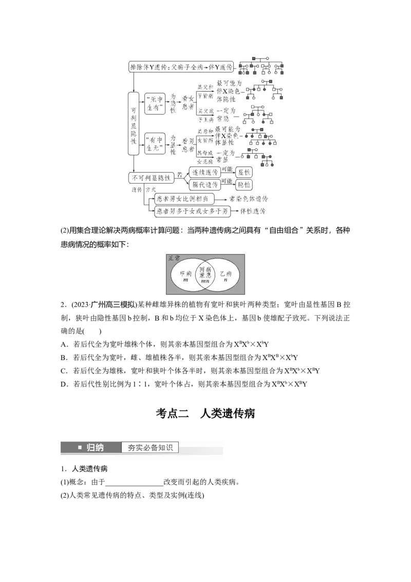 第5单元　第8课时　伴性遗传的特点与应用及人类遗传病_新高考复习资料_2024年新高考复习资料_一轮复习资料_完2024生物步步高大一轮复习（课件+讲义）_学生版在此文件夹