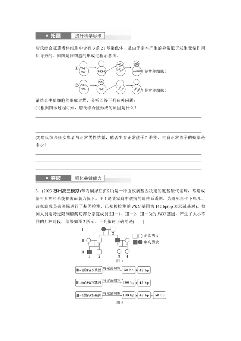 第5单元　第8课时　伴性遗传的特点与应用及人类遗传病_新高考复习资料_2024年新高考复习资料_一轮复习资料_完2024生物步步高大一轮复习（课件+讲义）_学生版在此文件夹