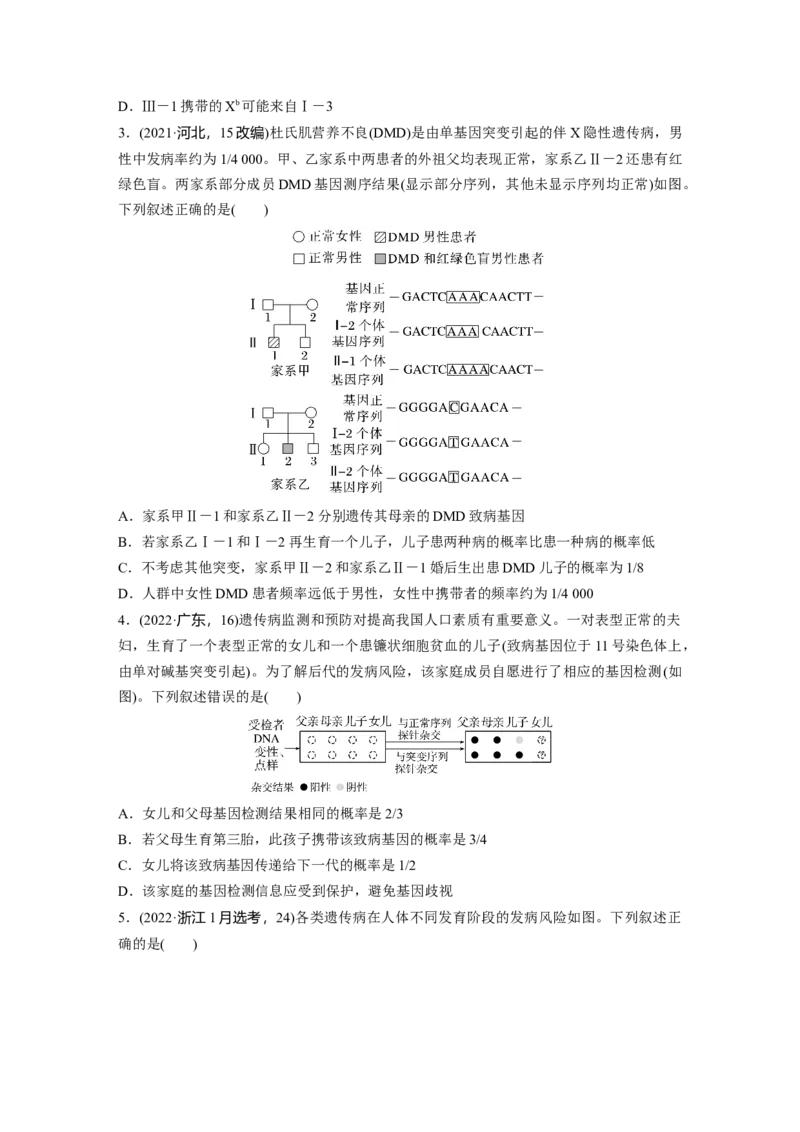 第5单元　第8课时　伴性遗传的特点与应用及人类遗传病_新高考复习资料_2024年新高考复习资料_一轮复习资料_完2024生物步步高大一轮复习（课件+讲义）_学生版在此文件夹