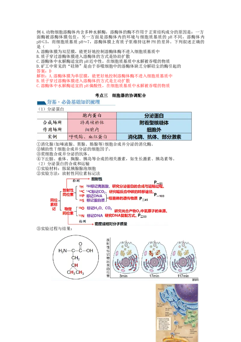 第6讲细胞质和生物膜系统（讲义）（教师版）_新高考复习资料_2024年新高考复习资料_一轮复习资料_完2024年高考生物一轮复习讲练测(课件+讲义+练习)（新高考）_讲义+练习
