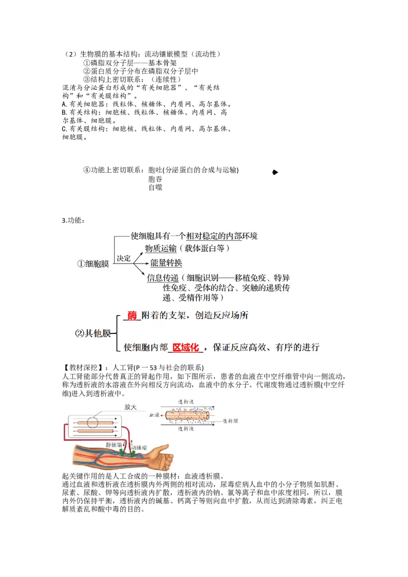 第6讲细胞质和生物膜系统（讲义）（教师版）_新高考复习资料_2024年新高考复习资料_一轮复习资料_完2024年高考生物一轮复习讲练测(课件+讲义+练习)（新高考）_讲义+练习
