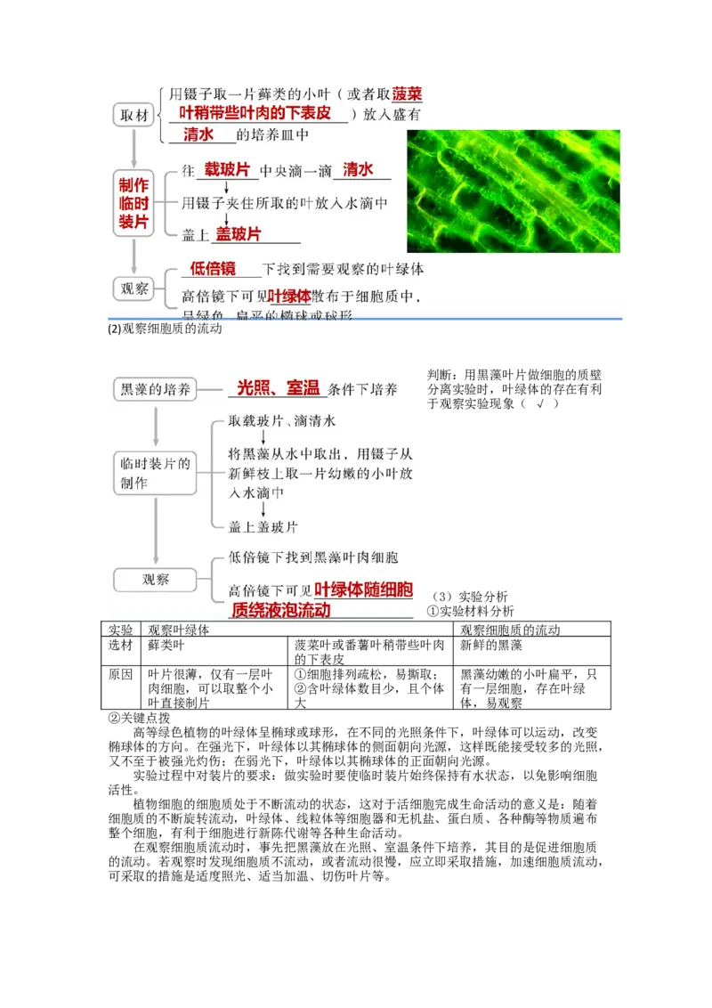 第6讲细胞质和生物膜系统（讲义）（教师版）_新高考复习资料_2024年新高考复习资料_一轮复习资料_完2024年高考生物一轮复习讲练测(课件+讲义+练习)（新高考）_讲义+练习