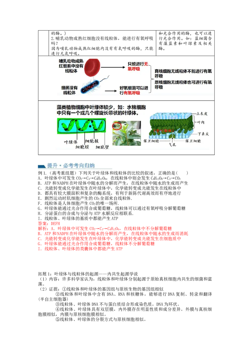 第6讲细胞质和生物膜系统（讲义）（教师版）_新高考复习资料_2024年新高考复习资料_一轮复习资料_完2024年高考生物一轮复习讲练测(课件+讲义+练习)（新高考）_讲义+练习
