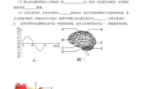 2024年中考生物读图理解专题复习：健康的生活（含答案）_6生物中考复习_2024年中考复习资料_二轮复习_备考2024中考生物二轮复习读图理解精练