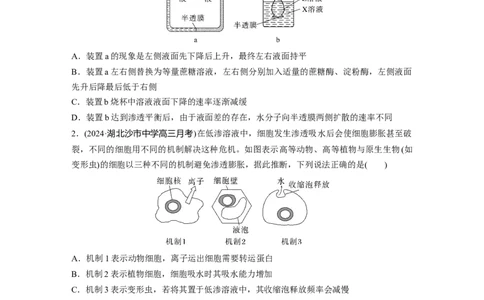 第二单元　课时练9水进出细胞的原理_2025年新高考资料_一轮复习_2025大一轮复习讲义+课件（完结）_2025大一轮复习讲义生物学生用书Word版文档整书_2025一轮复习73练