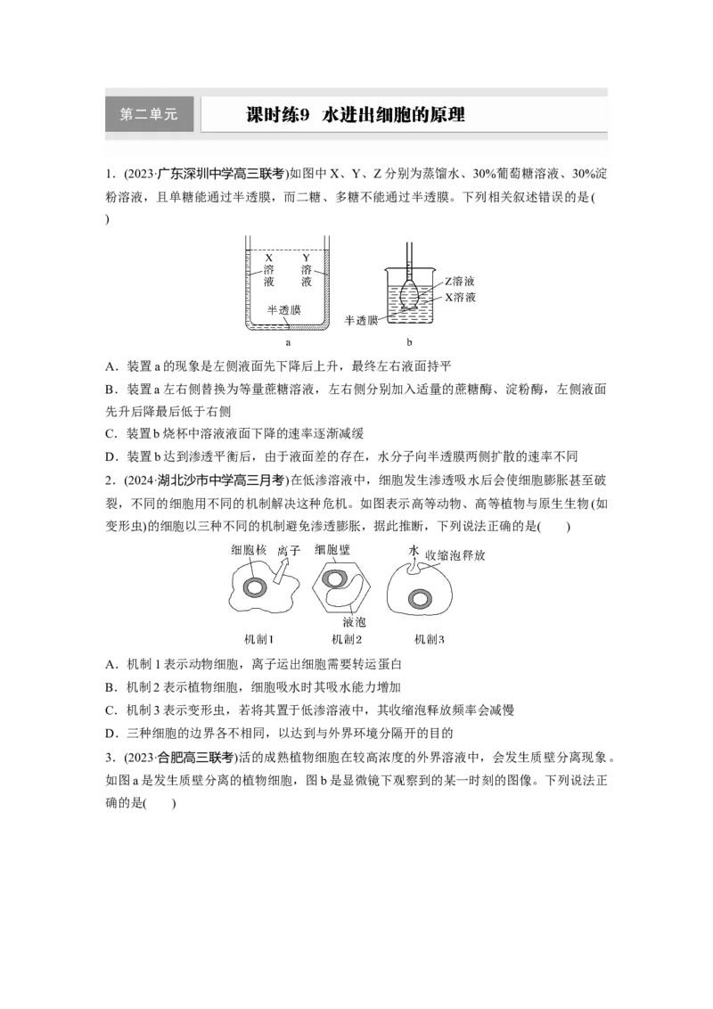 第二单元　课时练9水进出细胞的原理_2025年新高考资料_一轮复习_2025大一轮复习讲义+课件（完结）_2025大一轮复习讲义生物学生用书Word版文档整书_2025一轮复习73练
