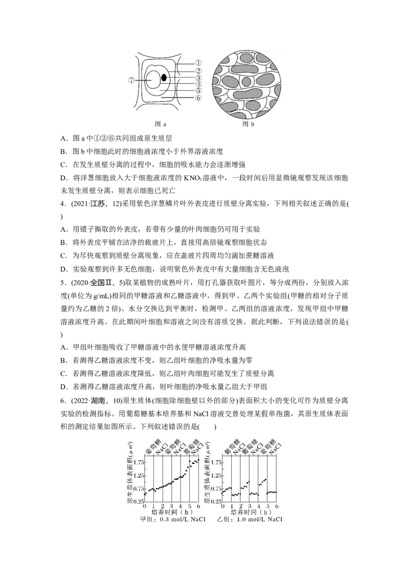 第二单元　课时练9水进出细胞的原理_2025年新高考资料_一轮复习_2025大一轮复习讲义+课件（完结）_2025大一轮复习讲义生物学生用书Word版文档整书_2025一轮复习73练