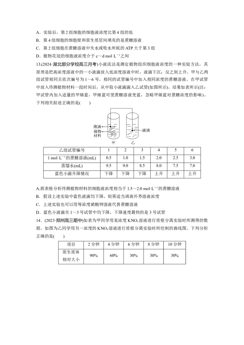 第二单元　课时练9水进出细胞的原理_2025年新高考资料_一轮复习_2025大一轮复习讲义+课件（完结）_2025大一轮复习讲义生物学生用书Word版文档整书_2025一轮复习73练