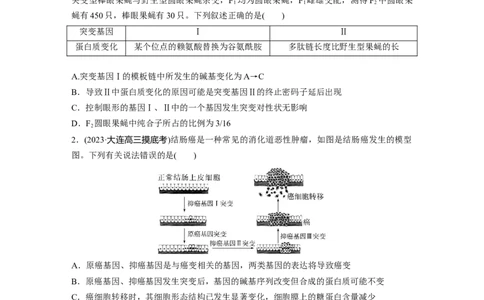 第六单元　课时练33　基因突变和基因重组_2025年新高考资料_一轮复习_2025大一轮复习讲义+课件（完结）_2025大一轮复习讲义生物学生用书Word版文档整书_2025一轮复习73练