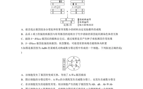 第六单元　课时练33　基因突变和基因重组_2025年新高考资料_一轮复习_2025大一轮复习讲义+课件（完结）_2025大一轮复习讲义生物学生用书Word版文档整书_2025一轮复习73练
