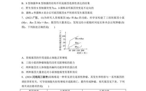 第六单元　课时练33　基因突变和基因重组_2025年新高考资料_一轮复习_2025大一轮复习讲义+课件（完结）_2025大一轮复习讲义生物学生用书Word版文档整书_2025一轮复习73练