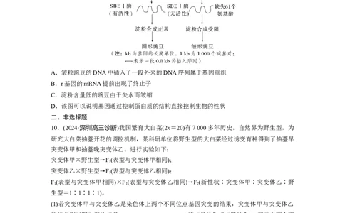 第六单元　课时练33　基因突变和基因重组_2025年新高考资料_一轮复习_2025大一轮复习讲义+课件（完结）_2025大一轮复习讲义生物学生用书Word版文档整书_2025一轮复习73练