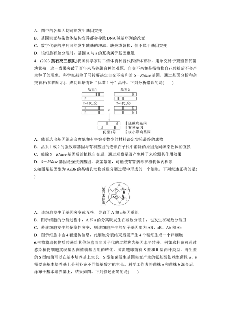 第六单元　课时练33　基因突变和基因重组_2025年新高考资料_一轮复习_2025大一轮复习讲义+课件（完结）_2025大一轮复习讲义生物学生用书Word版文档整书_2025一轮复习73练