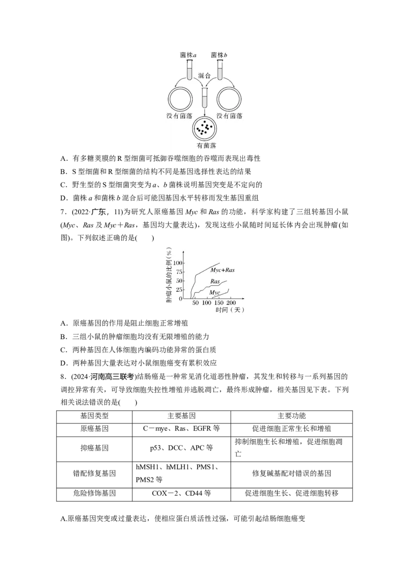 第六单元　课时练33　基因突变和基因重组_2025年新高考资料_一轮复习_2025大一轮复习讲义+课件（完结）_2025大一轮复习讲义生物学生用书Word版文档整书_2025一轮复习73练