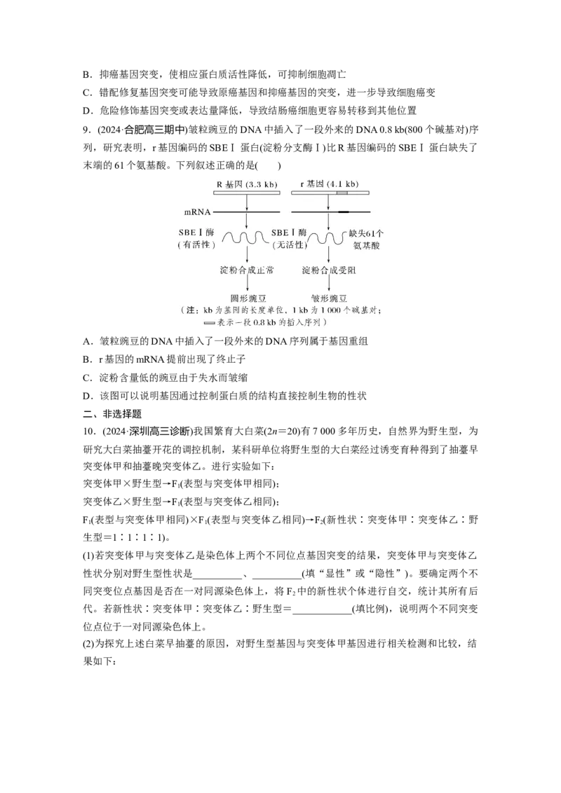 第六单元　课时练33　基因突变和基因重组_2025年新高考资料_一轮复习_2025大一轮复习讲义+课件（完结）_2025大一轮复习讲义生物学生用书Word版文档整书_2025一轮复习73练