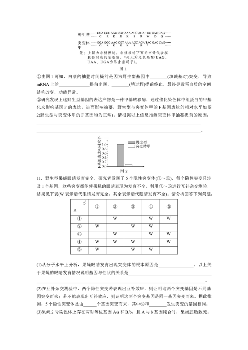 第六单元　课时练33　基因突变和基因重组_2025年新高考资料_一轮复习_2025大一轮复习讲义+课件（完结）_2025大一轮复习讲义生物学生用书Word版文档整书_2025一轮复习73练