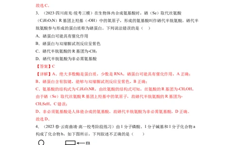 第4讲细胞中的蛋白质和核酸（练习）（解析版）_新高考复习资料_2024年新高考复习资料_一轮复习资料_完2024年高考生物一轮复习讲练测(课件+讲义+练习)（新高考）_讲义+练习