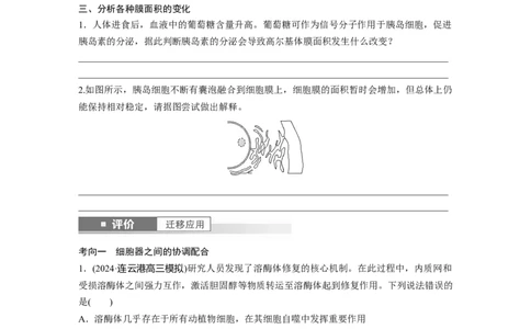 第二单元　第8课时　细胞器之间的协调配合_2025年新高考资料_一轮复习_2025大一轮复习讲义+课件（完结）_2025大一轮复习讲义生物学生用书Word版文档整书_2025大一轮复习讲义