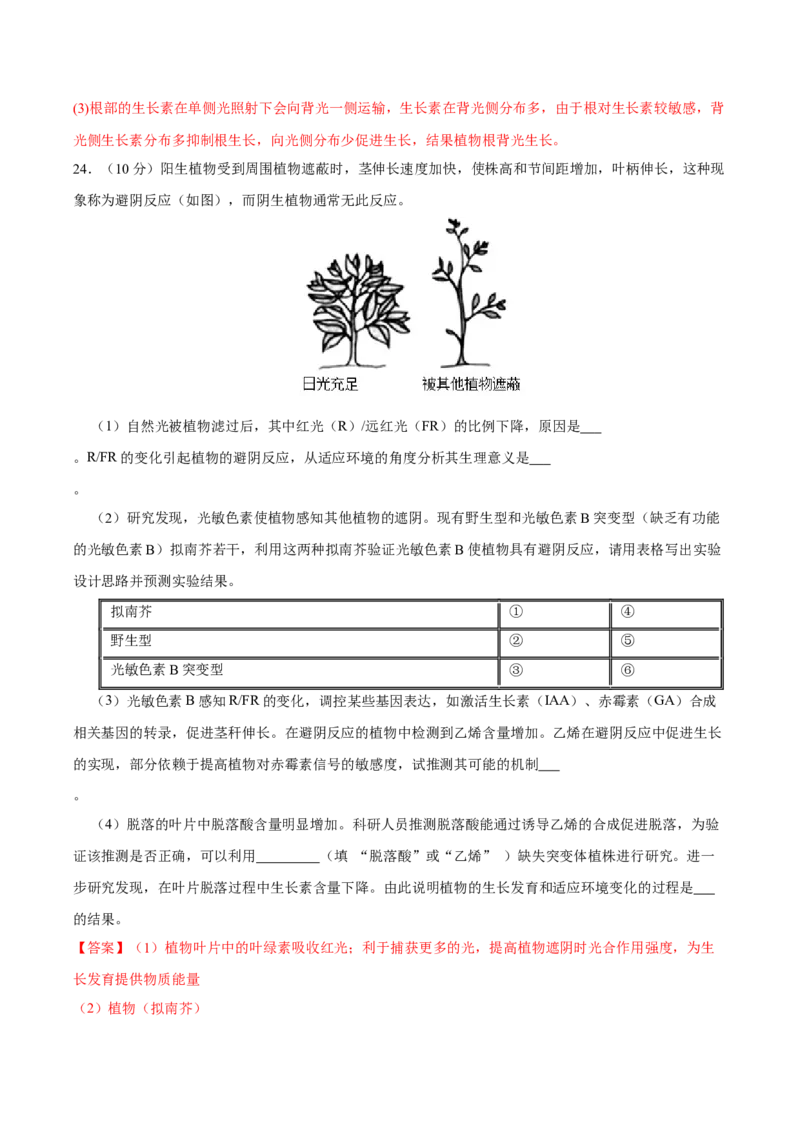 第九单元植物的激素调节（B卷能力提升练）-2023年高考生物一轮复习单元滚动双测卷（新高考专用）（解析版）_新高考复习资料_2023年新高考复习资料_一轮复习