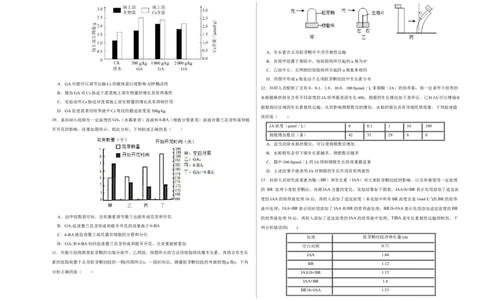 第九单元植物的激素调节（B卷能力提升练）-2023年高考生物一轮复习单元滚动双测卷（新高考专用）（考试版）_新高考复习资料_2023年新高考复习资料_一轮复习