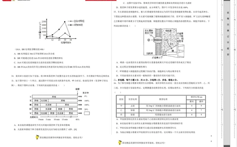 第九单元植物的激素调节（B卷能力提升练）-2023年高考生物一轮复习单元滚动双测卷（新高考专用）（考试版）_新高考复习资料_2023年新高考复习资料_一轮复习