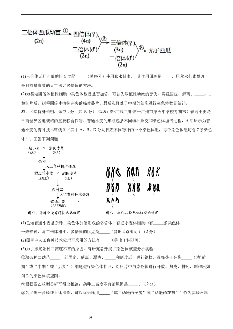 第七单元生物的变异与进化（测试）（原卷版）_新高考复习资料_2024年新高考复习资料_一轮复习资料_完2024年高考生物一轮复习讲练测(课件+讲义+练习)（新高考）_单元测试