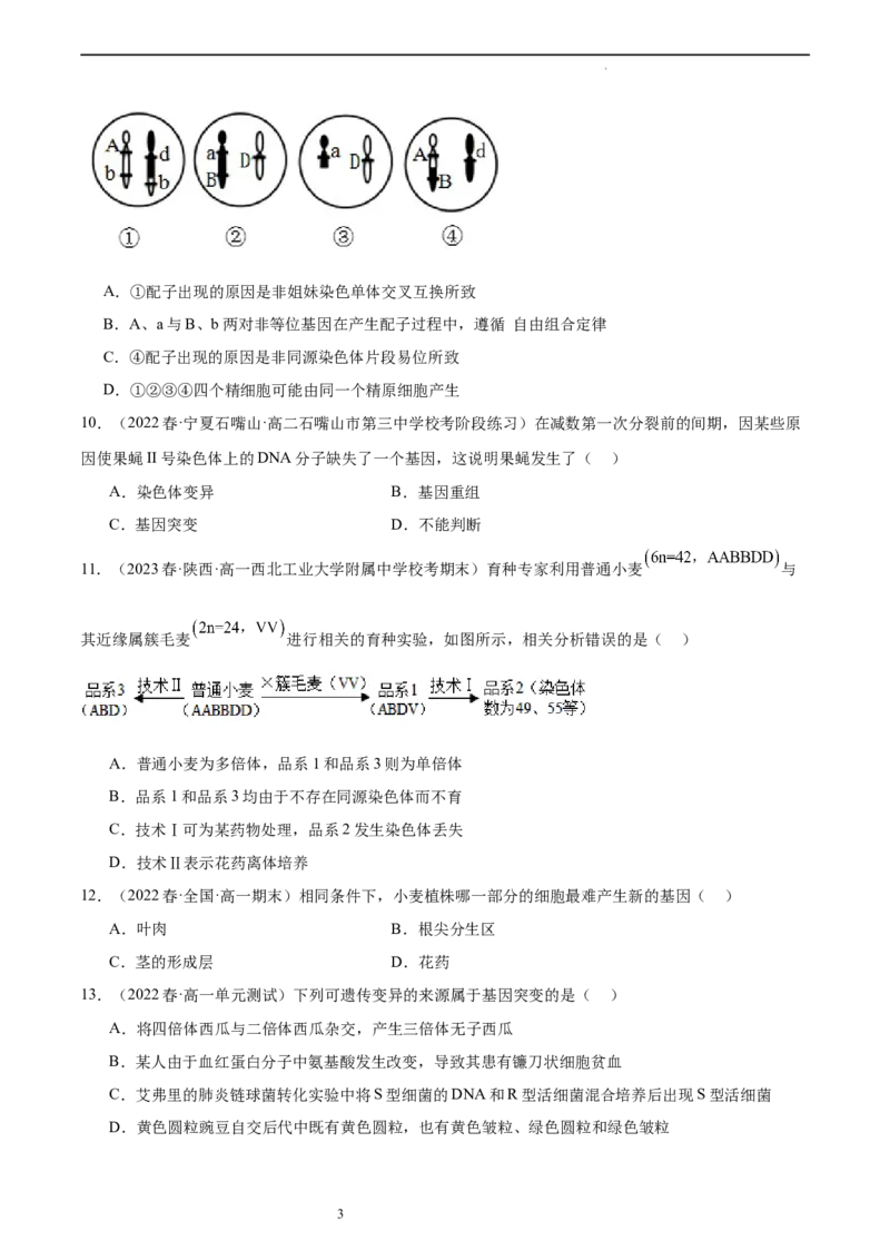 第七单元生物的变异与进化（测试）（原卷版）_新高考复习资料_2024年新高考复习资料_一轮复习资料_完2024年高考生物一轮复习讲练测(课件+讲义+练习)（新高考）_单元测试