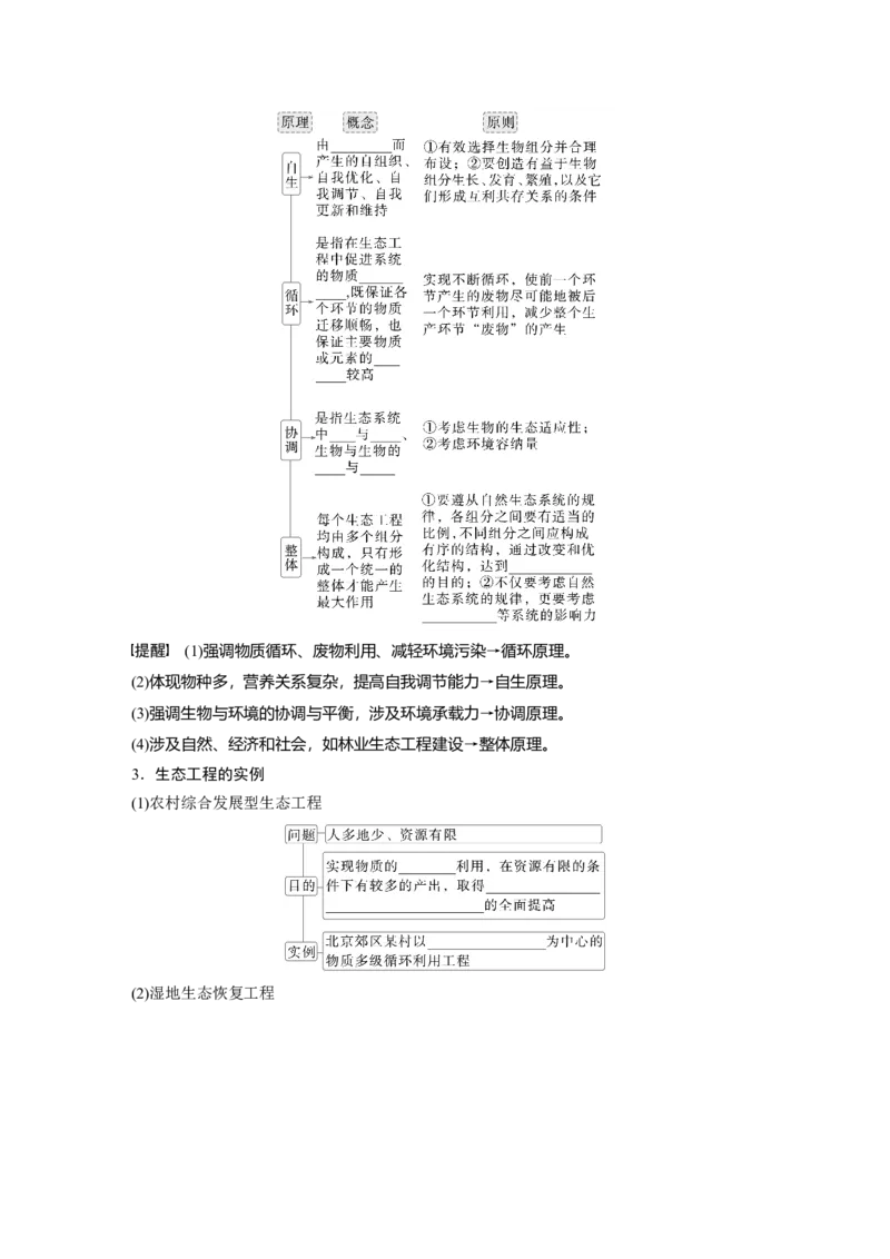 第九单元　第55课时　人与环境_2025年新高考资料_一轮复习_2025大一轮复习讲义+课件（完结）_2025大一轮复习讲义生物学生用书Word版文档整书_2025大一轮复习讲义