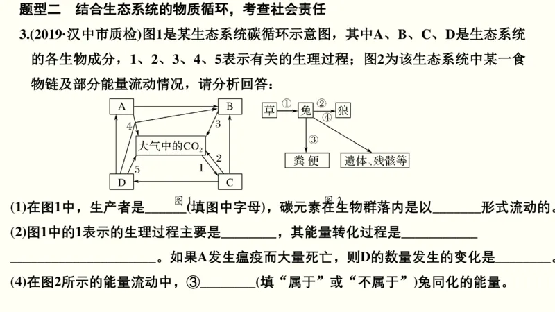 第十三单元生态系统与环境保护（教案）_新高考复习资料_2022年新高考复习资料_2022届一轮复习讲练结合7.13更新_系列一_第十三单元生态系统与环境保护