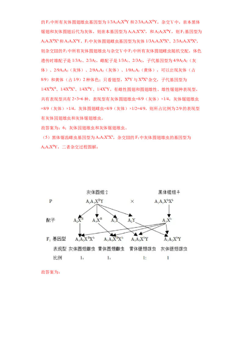 第五单元遗传规律及其拓展（B卷能力提升练）-2022年高考生物一轮复习单元滚动双测卷（解析版）_新高考复习资料_2023年新高考复习资料_一轮复习