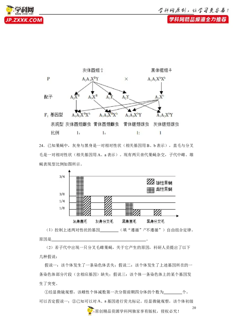 第五单元遗传规律及其拓展（B卷能力提升练）-2022年高考生物一轮复习单元滚动双测卷（解析版）_新高考复习资料_2023年新高考复习资料_一轮复习