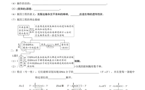 第54讲基因工程的基本工具和基本操作程序（知识清单）_新高考复习资料_2025年新高考资料_备战2025年高考生物一轮复习课件+知识清单