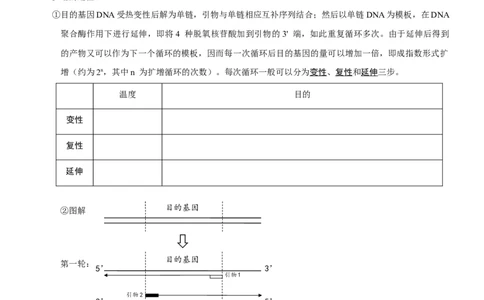 第54讲基因工程的基本工具和基本操作程序（知识清单）_新高考复习资料_2025年新高考资料_备战2025年高考生物一轮复习课件+知识清单