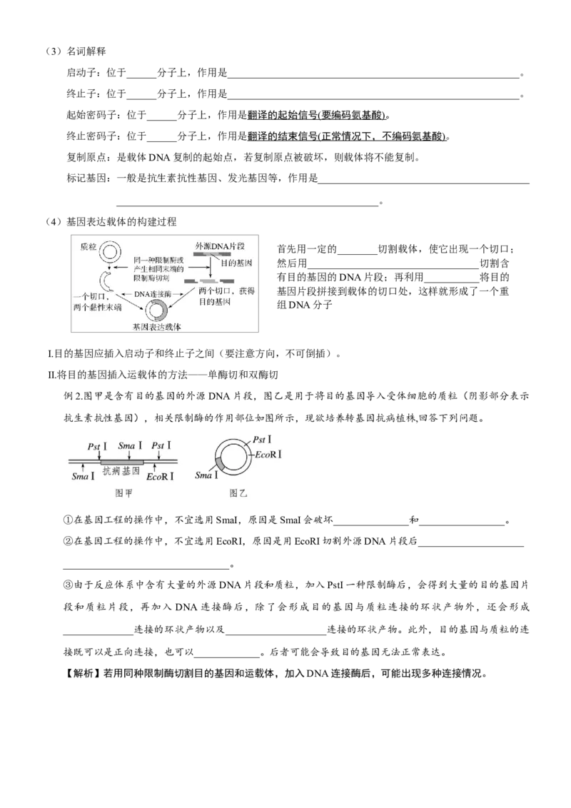 第54讲基因工程的基本工具和基本操作程序（知识清单）_新高考复习资料_2025年新高考资料_备战2025年高考生物一轮复习课件+知识清单