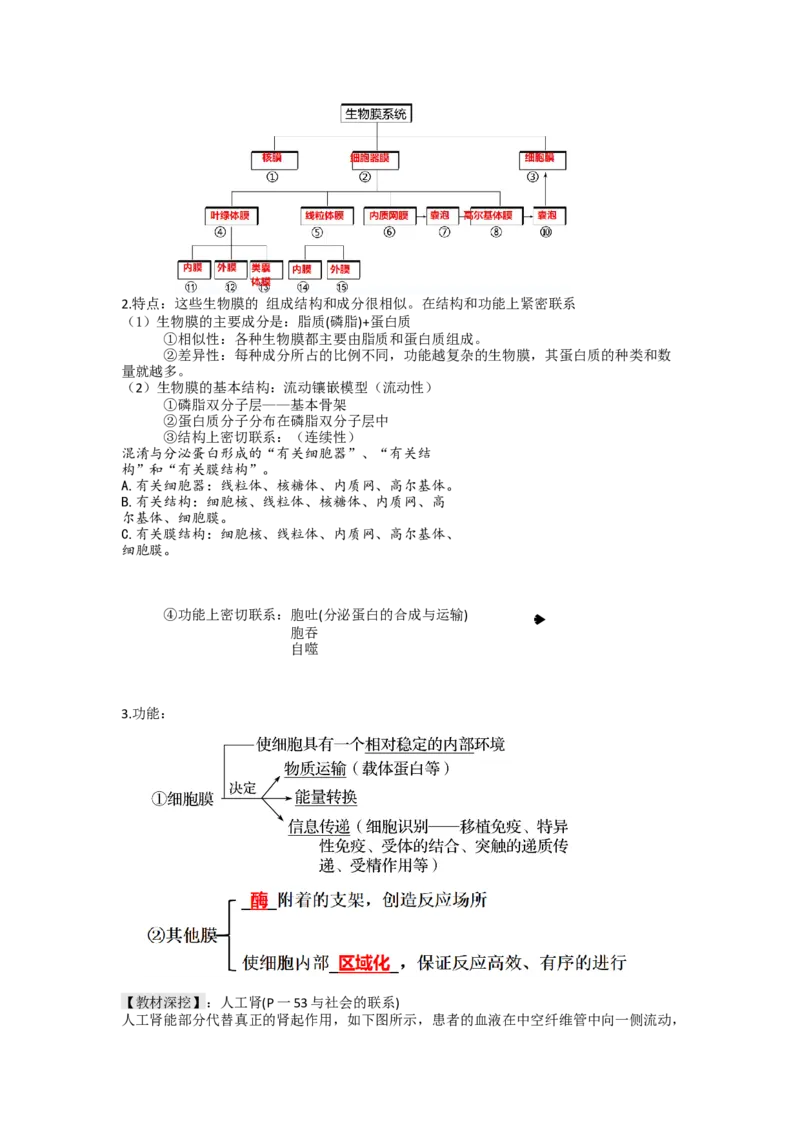 第6讲细胞质和生物膜系统（讲义）（学生版）_新高考复习资料_2024年新高考复习资料_一轮复习资料_完2024年高考生物一轮复习讲练测(课件+讲义+练习)（新高考）_讲义+练习
