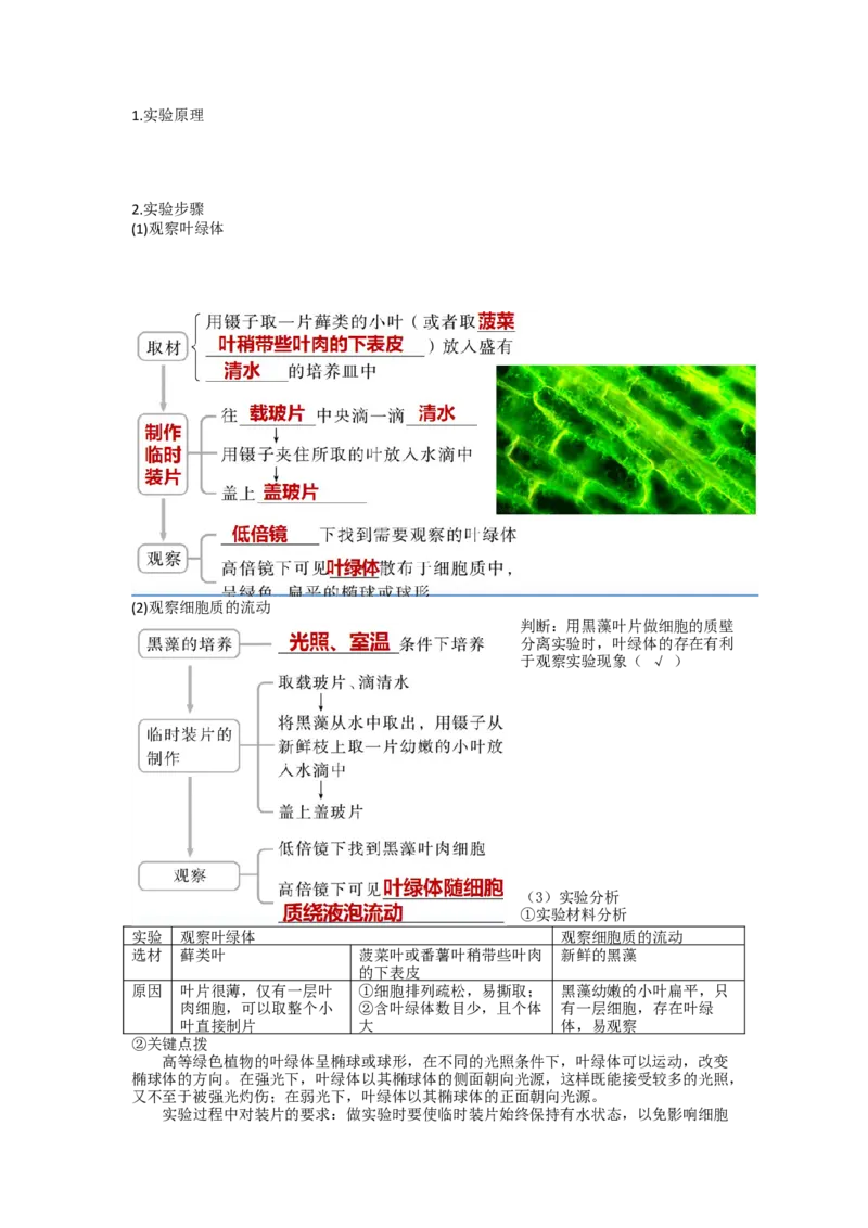 第6讲细胞质和生物膜系统（讲义）（学生版）_新高考复习资料_2024年新高考复习资料_一轮复习资料_完2024年高考生物一轮复习讲练测(课件+讲义+练习)（新高考）_讲义+练习