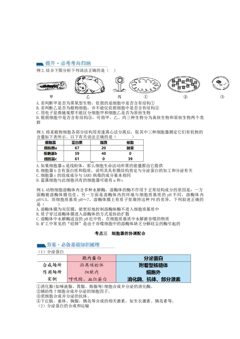 第6讲细胞质和生物膜系统（讲义）（学生版）_新高考复习资料_2024年新高考复习资料_一轮复习资料_完2024年高考生物一轮复习讲练测(课件+讲义+练习)（新高考）_讲义+练习
